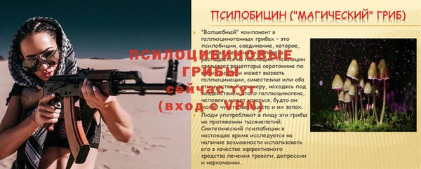 крисы Гусиноозёрск