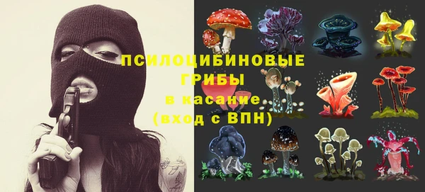 эйфоретик Гусев