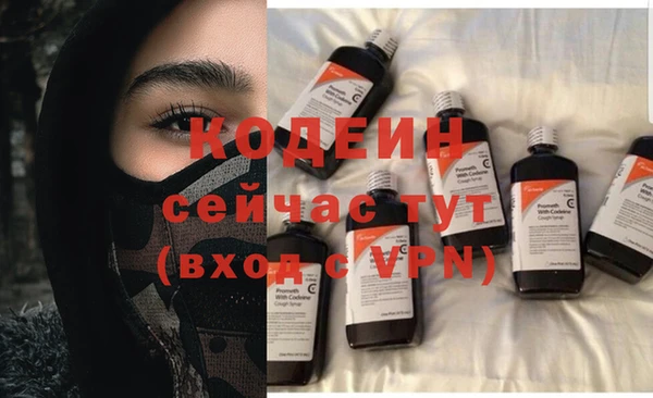 эйфоретик Гусев