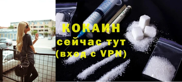 кокс Гусь-Хрустальный