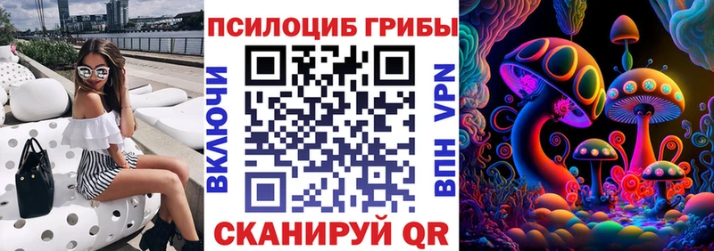 Купить  Снежногорск  Галлюциногенные грибы GOLDEN TEACHER 